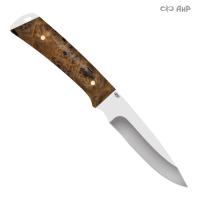 Снегирь, стабилизированный кап тополя