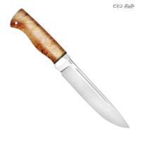 Таежный, стабилизированный кап клена