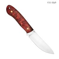 Горностай ЦМ, стабилизированный тополь