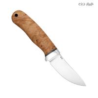 Горностай, стабилизированный кап клена