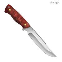 Рифей, стабилизированный тополь