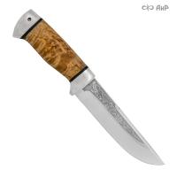 Беркут, карельская береза