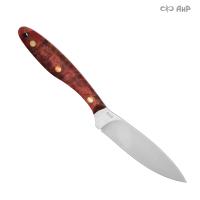 Канадский средний, стабилизированный тополь