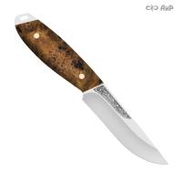 Жулан, стабилизированный кап тополя