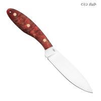 Канадский малый, стабилизированный тополь