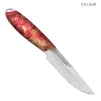 Жулан, стабилизированный кап клена