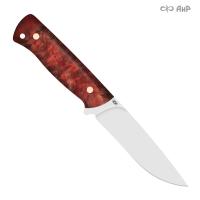 Стриж, стабилизированный тополь