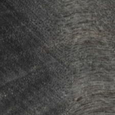 стабилизированный тополь черный