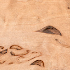 карельская береза