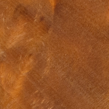 стабилизированный кап тополя оранжевый