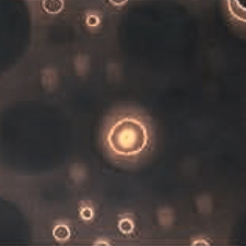 композит с бронзовой микросеткой луна, черный