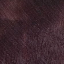 стабилизированный тополь фиолетовый