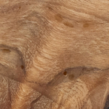 стабилизированный кап тополя натуральный