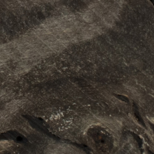 стабилизированный кап тополя черный