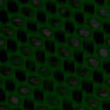 карбон «зебра» зеленый