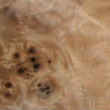 березовый кап