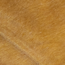 стабилизированный тополь желтый