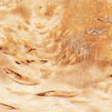 стабилизированная карельская береза натуральная