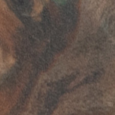 стабилизированный березовый кап двухцветный