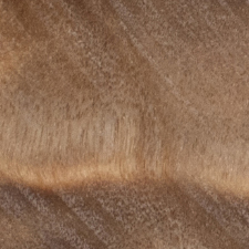 стабилизированный тополь натуральный