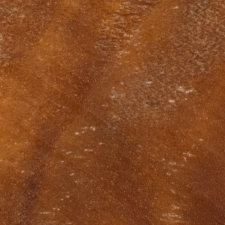 стабилизированный тополь оранжевый